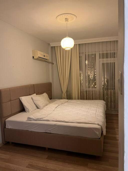 Daire Centre- Location