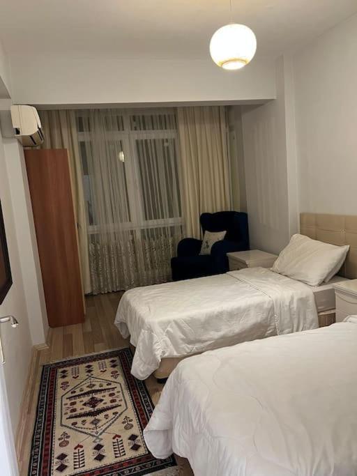 Centre- Location Daire *