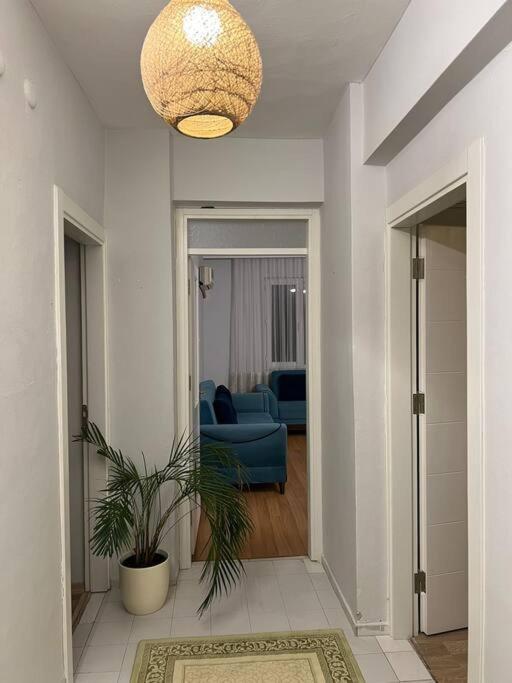 Centre- Location Daire