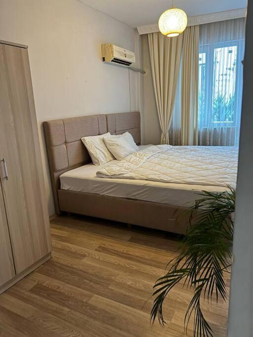 Daire Centre- Location *